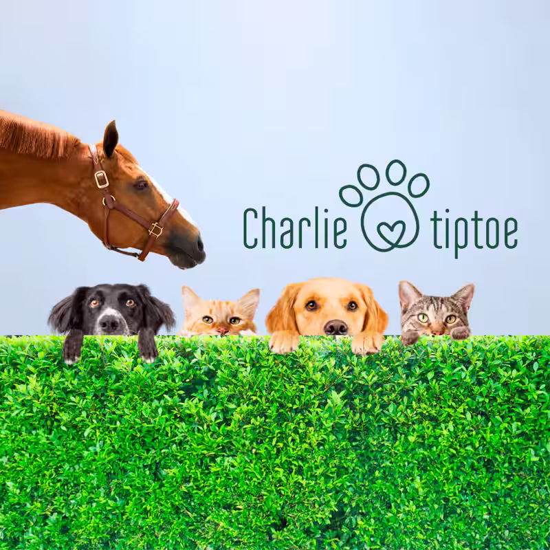 Charlietiptoe.com baggrunds billede