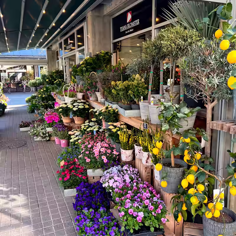 Tuana Blomster baggrunds billede